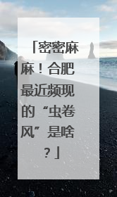 密密麻麻！合肥最近频现的“虫卷风”是啥？