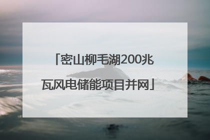 密山柳毛湖200兆瓦风电储能项目并网