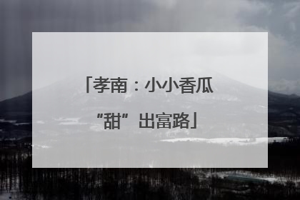 孝南：小小香瓜 “甜”出富路