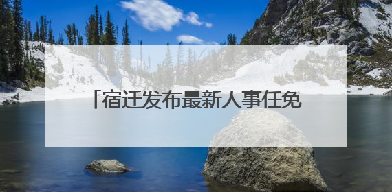 宿迁发布最新人事任免，洋河集团董事长调整