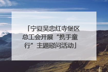 宁夏吴忠红寺堡区总工会开展“携手童行”主题慰问活动
