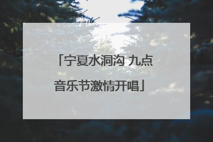 宁夏水洞沟 九点音乐节激情开唱