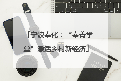 宁波奉化：“奉菁学堂”激活乡村新经济