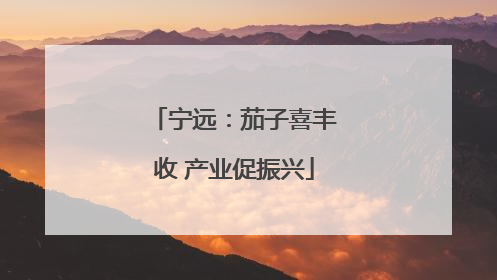 宁远：茄子喜丰收 产业促振兴