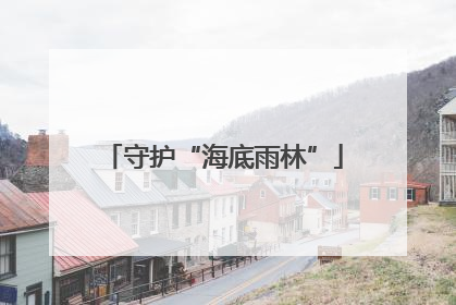 守护“海底雨林”