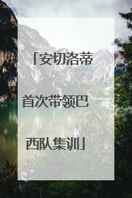 安切洛蒂首次带领巴西队集训