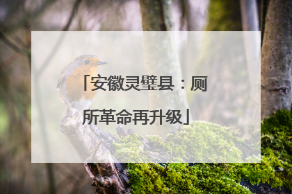 安徽灵璧县：厕所革命再升级