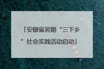 安徽省暑期“三下乡”社会实践活动启动