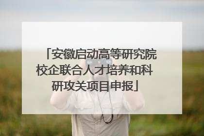 安徽启动高等研究院校企联合人才培养和科研攻关项目申报