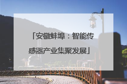 安徽蚌埠：智能传感器产业集聚发展