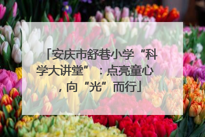 安庆市舒巷小学“科学大讲堂”：点亮童心，向“光”而行