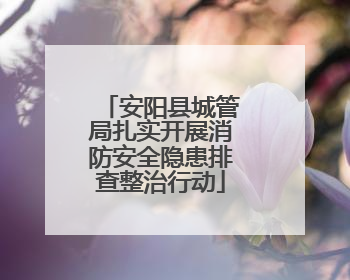 安阳县城管局扎实开展消防安全隐患排查整治行动
