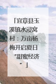 宜章县玉溪镇水浸窝村：万亩杨梅开启夏日“甜蜜经济”