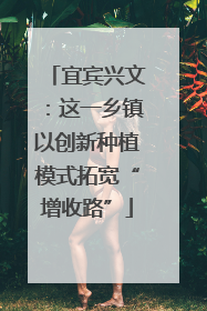 宜宾兴文：这一乡镇以创新种植模式拓宽“增收路”