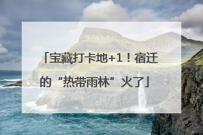 宝藏打卡地+1！宿迁的“热带雨林”火了