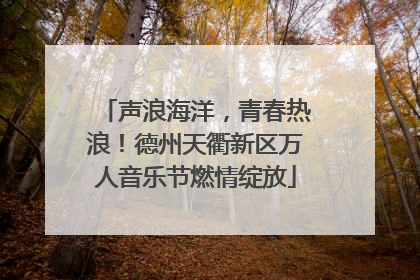 声浪海洋，青春热浪！德州天衢新区万人音乐节燃情绽放