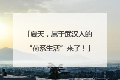 夏天，属于武汉人的“荷系生活”来了！