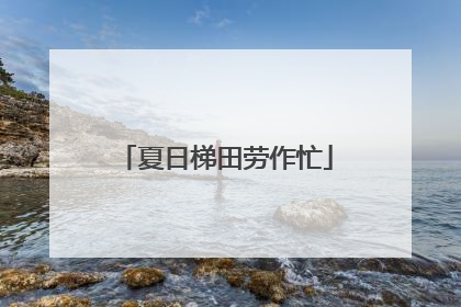夏日梯田劳作忙