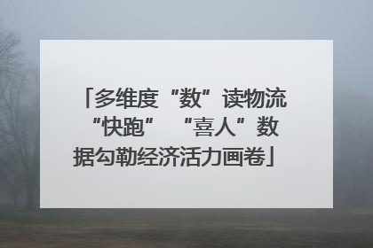 多维度“数”读物流“快跑” “喜人”数据勾勒经济活力画卷