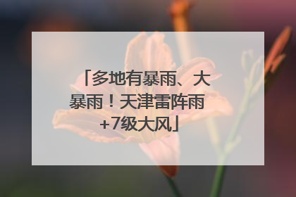 多地有暴雨、大暴雨！天津雷阵雨+7级大风