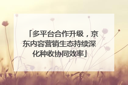 多平台合作升级，京东内容营销生态持续深化种收协同效率