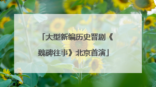 大型新编历史晋剧《魏碑往事》北京首演