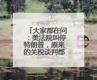 大家都在问：美法院叫停特朗普，原来的关税谈判都白谈了？