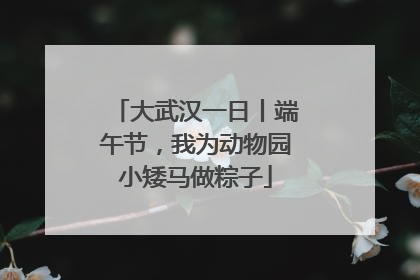 大武汉一日丨端午节，我为动物园小矮马做粽子