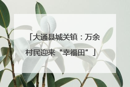 大通县城关镇：万余村民迎来“幸福田”