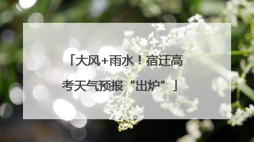 大风+雨水！宿迁高考天气预报“出炉”