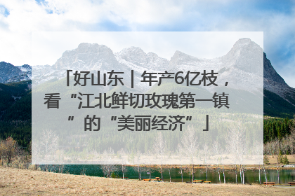 好山东｜年产6亿枝，看“江北鲜切玫瑰第一镇”的“美丽经济”