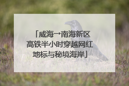 威海→南海新区 高铁半小时穿越网红地标与秘境海岸