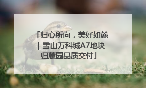 归心所向，美好如麓｜雪山万科城A7地块归麓园品质交付