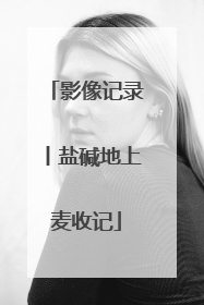 影像记录丨盐碱地上麦收记