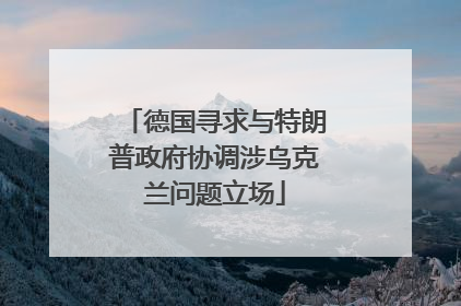 德国寻求与特朗普政府协调涉乌克兰问题立场