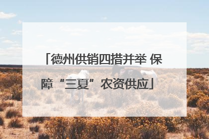 德州供销四措并举 保障“三夏”农资供应