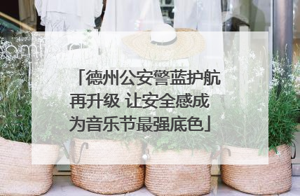 德州公安警蓝护航再升级 让安全感成为音乐节最强底色