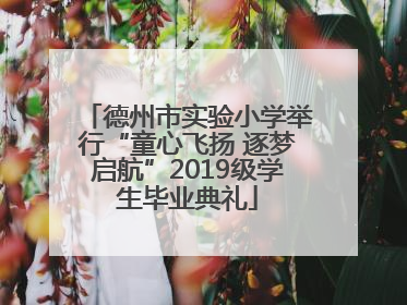 德州市实验小学举行“童心飞扬 逐梦启航”2019级学生毕业典礼