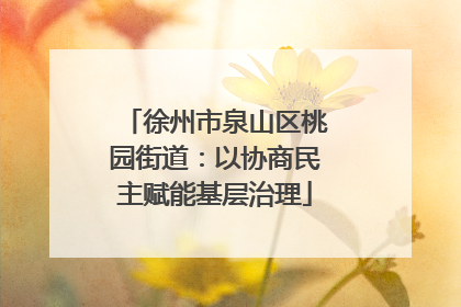 徐州市泉山区桃园街道：以协商民主赋能基层治理