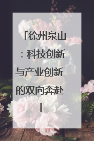 徐州泉山：科技创新与产业创新的双向奔赴