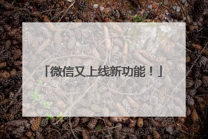微信又上线新功能！