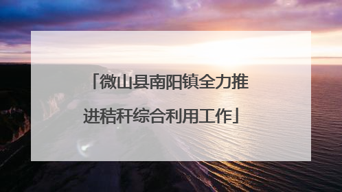 微山县南阳镇全力推进秸秆综合利用工作