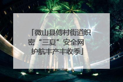 微山县傅村街道织密“三夏”安全网 护航丰产丰收季