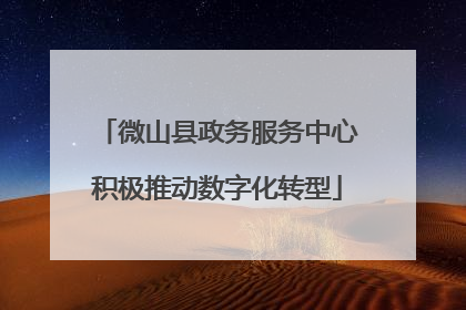 微山县政务服务中心积极推动数字化转型