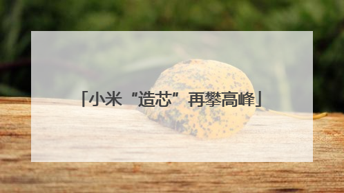 小米“造芯”再攀高峰