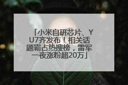小米自研芯片、YU7齐发布！相关话题霸占热搜榜，雷军一夜涨粉超20万