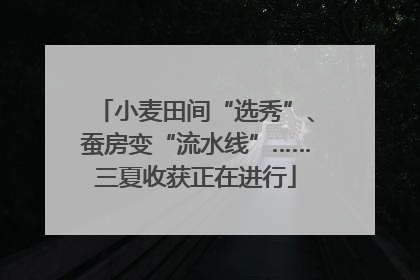 小麦田间“选秀”、蚕房变“流水线”……三夏收获正在进行