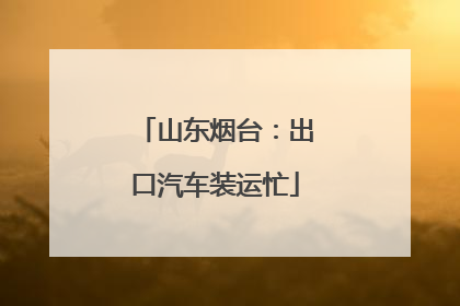 山东烟台：出口汽车装运忙