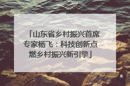 山东省乡村振兴首席专家杨飞：科技创新点燃乡村振兴新引擎