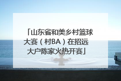 山东省和美乡村篮球大赛（村BA）在招远大户陈家火热开赛